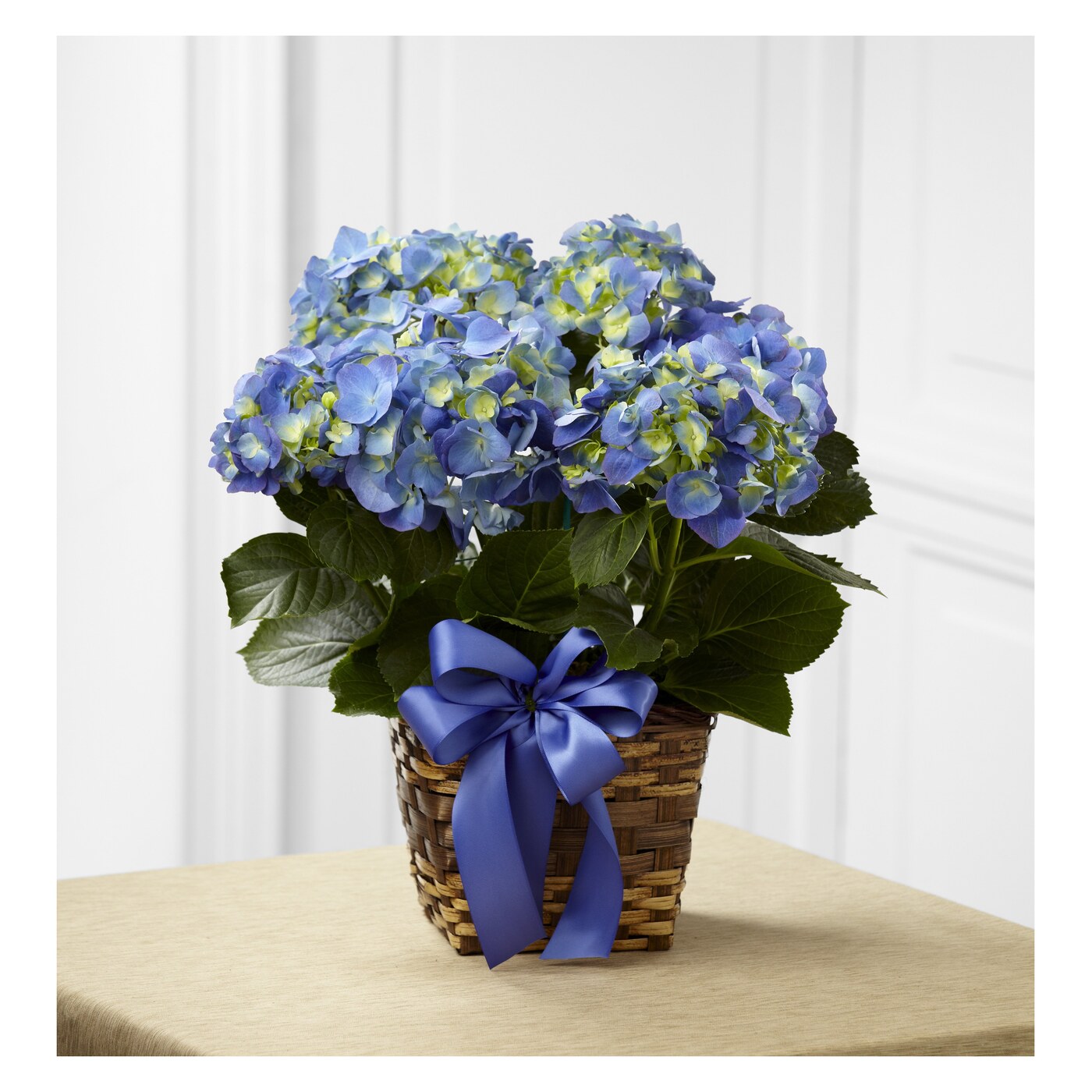Blue Hydrangea Planter flower arrangement