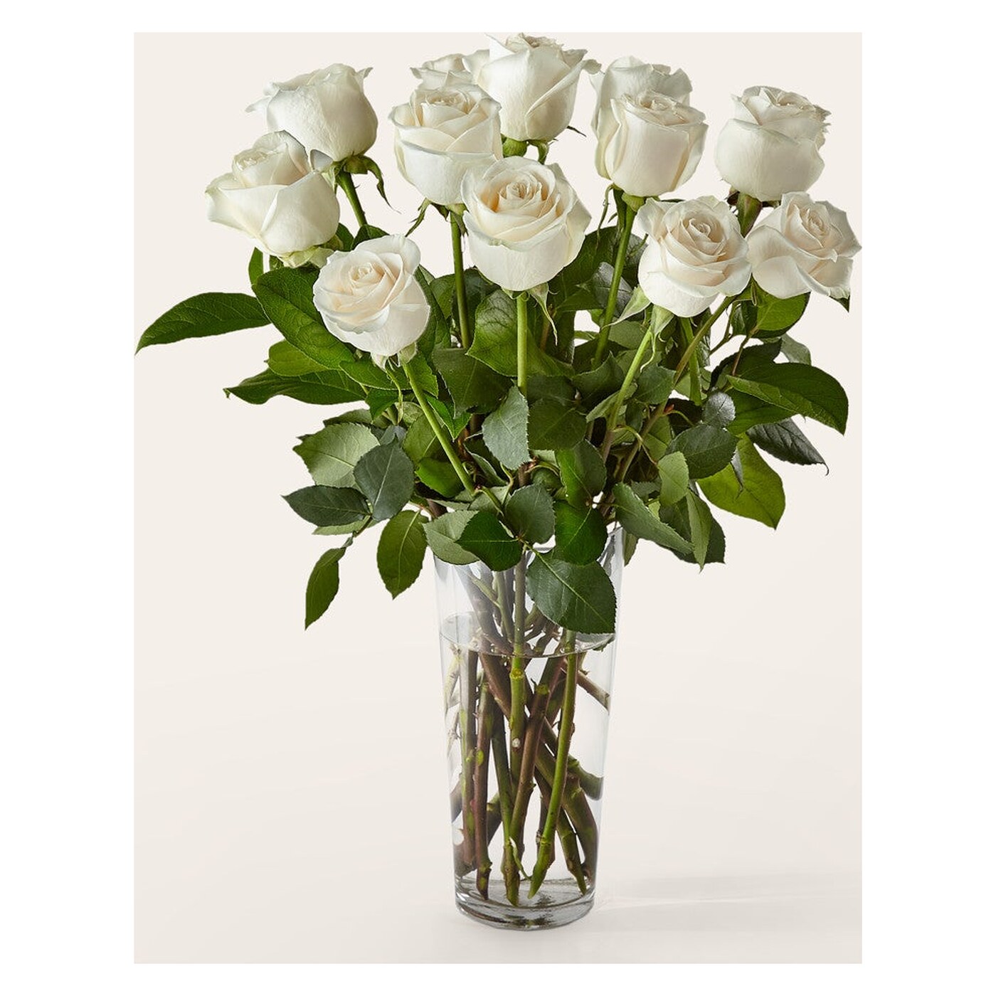 Long Stem White Rose Bouquet flower arrangement